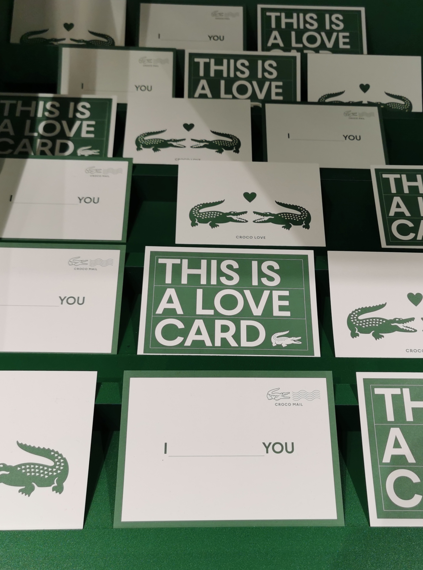 IMG_20230208_121215-3